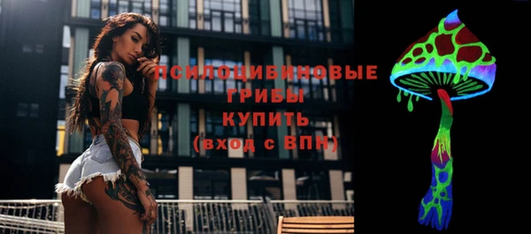прущая мука Алзамай